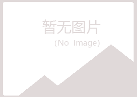 兴山县夜山媒体有限公司